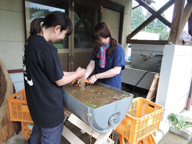 訓練生が収穫した野菜を丁寧に洗っています。