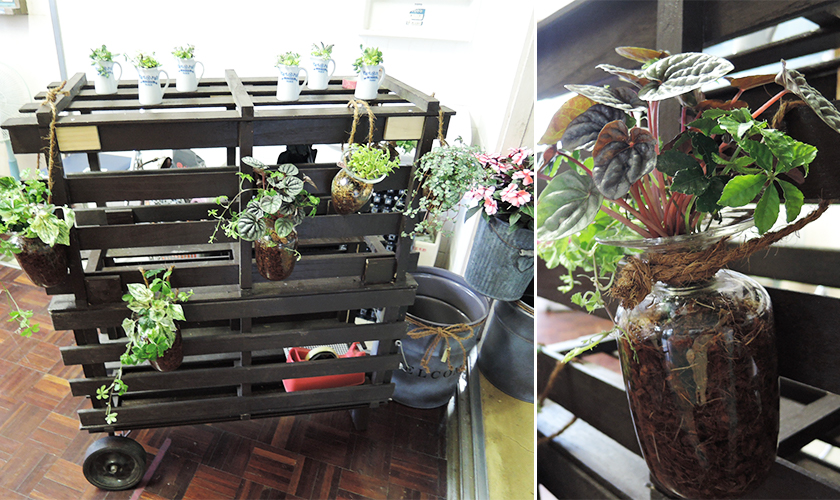 木工雑貨＋グリーン　Giardino / 手作りの木工雑貨と植物の組み合わせ商品《新規出店》